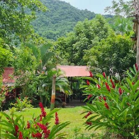 Eco Hostal Monolandia Zaino Exterior foto