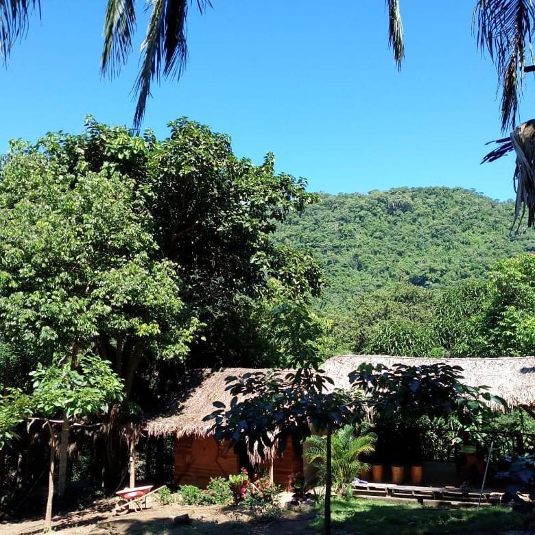 Eco Hostal Monolandia Zaino Exterior foto
