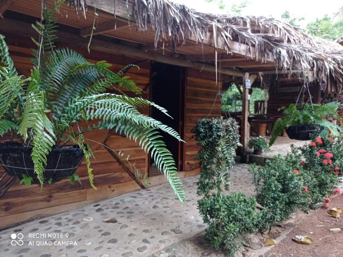 Eco Hostal Monolandia Zaino Exterior foto