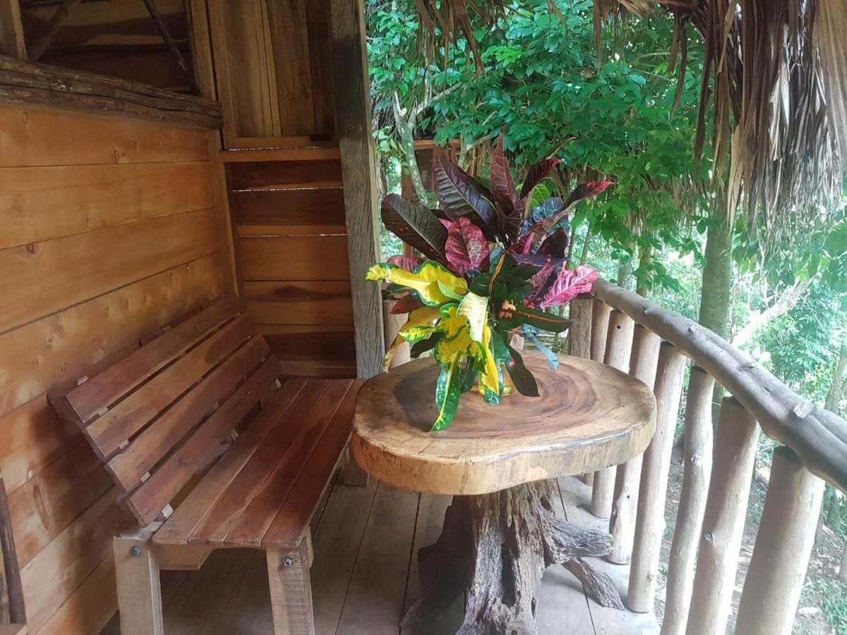 Eco Hostal Monolandia Zaino Exterior foto
