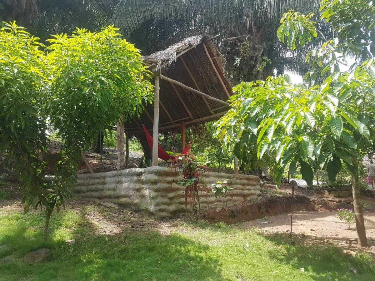 Eco Hostal Monolandia Zaino Exterior foto