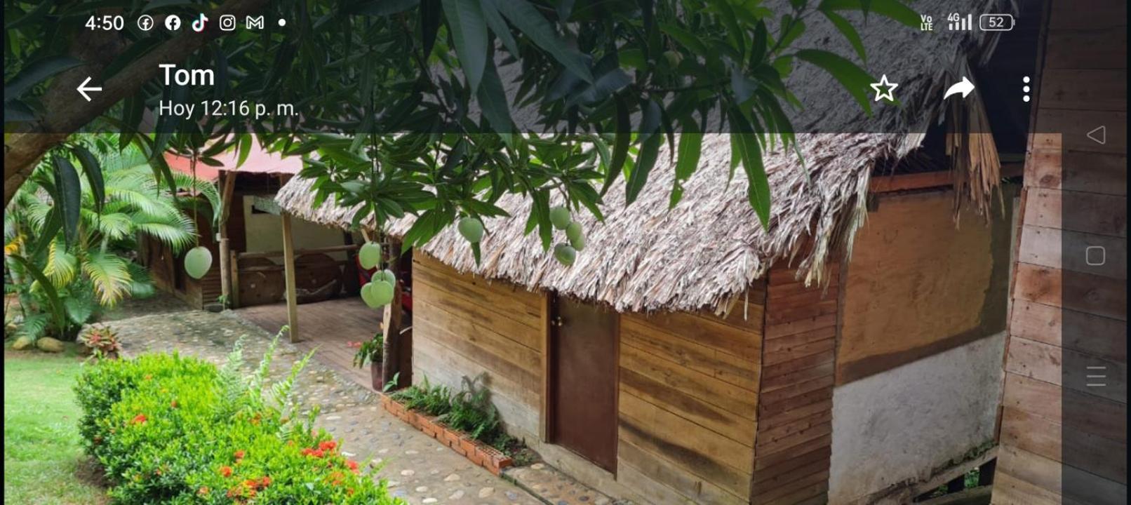 Eco Hostal Monolandia Zaino Exterior foto
