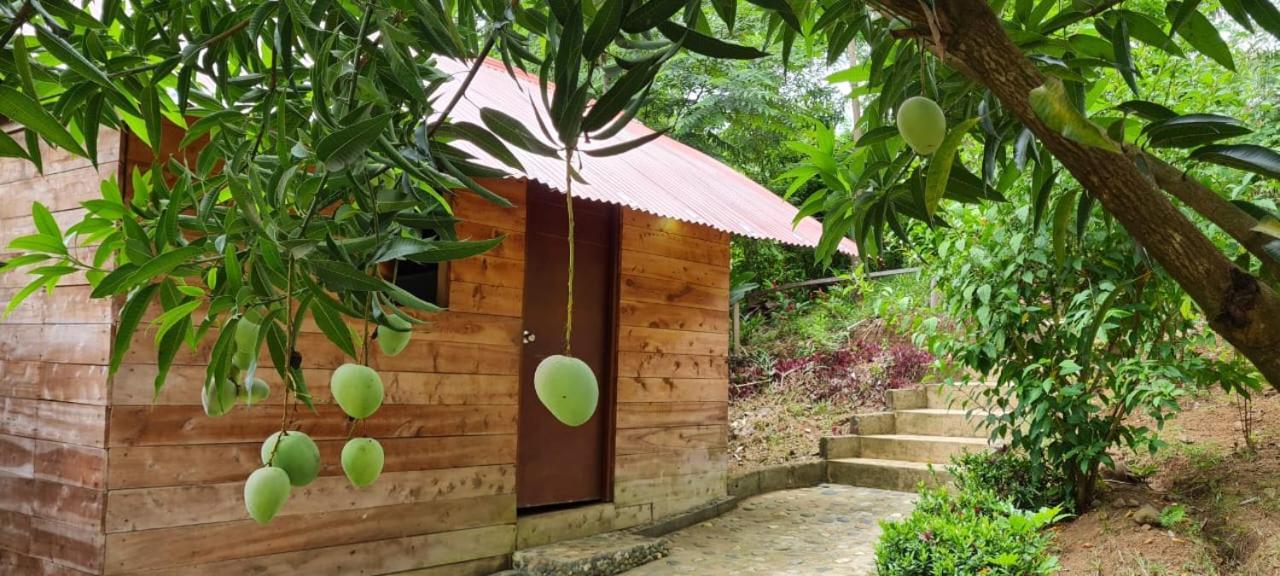 Eco Hostal Monolandia Zaino Exterior foto