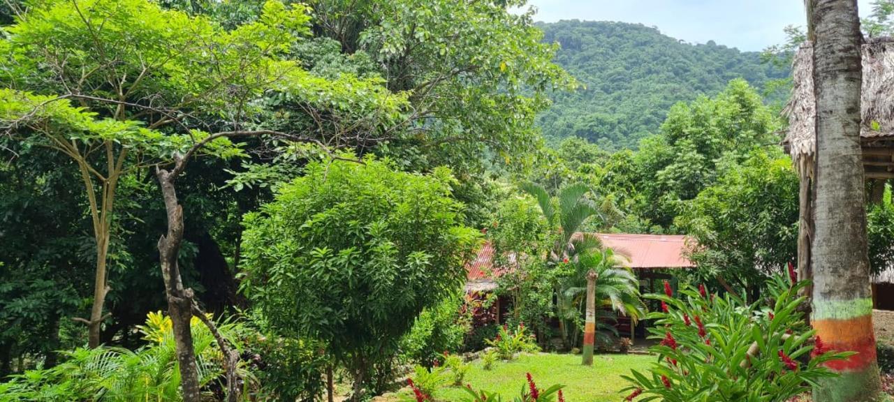 Eco Hostal Monolandia Zaino Exterior foto