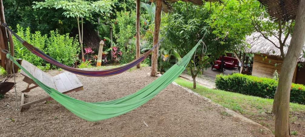 Eco Hostal Monolandia Zaino Exterior foto