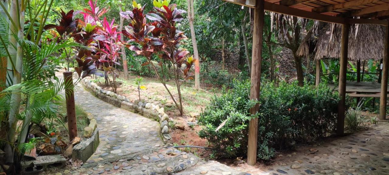 Eco Hostal Monolandia Zaino Exterior foto
