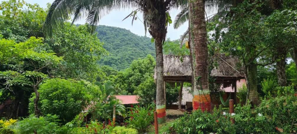 Eco Hostal Monolandia Zaino Exterior foto