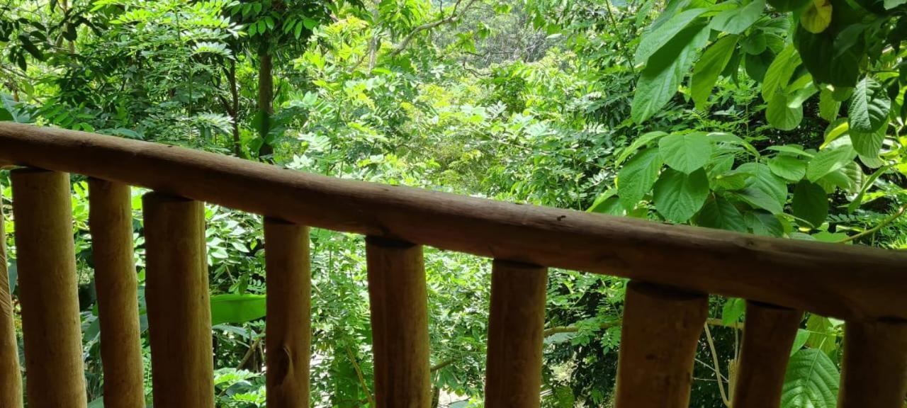 Eco Hostal Monolandia Zaino Exterior foto