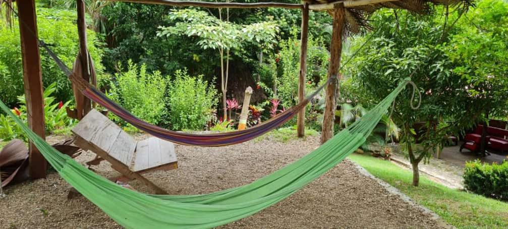 Eco Hostal Monolandia Zaino Exterior foto