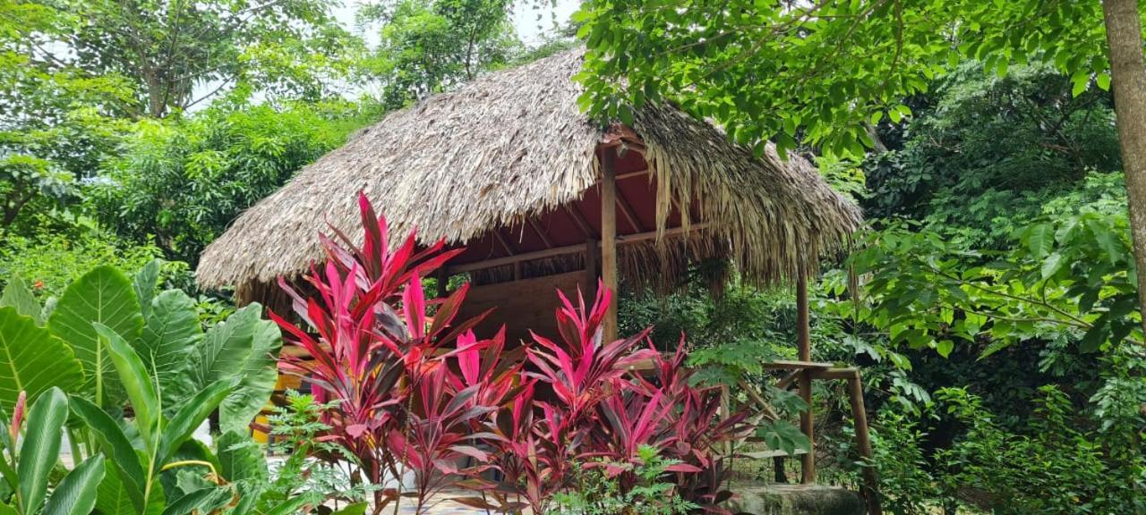 Eco Hostal Monolandia Zaino Exterior foto