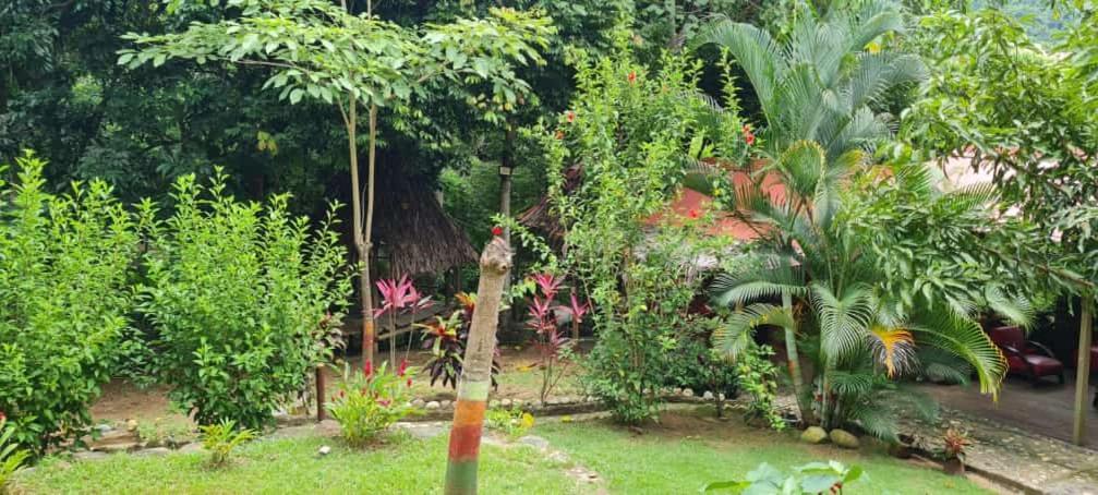 Eco Hostal Monolandia Zaino Exterior foto