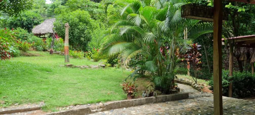 Eco Hostal Monolandia Zaino Exterior foto