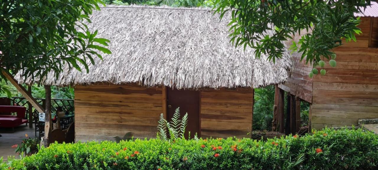 Eco Hostal Monolandia Zaino Exterior foto