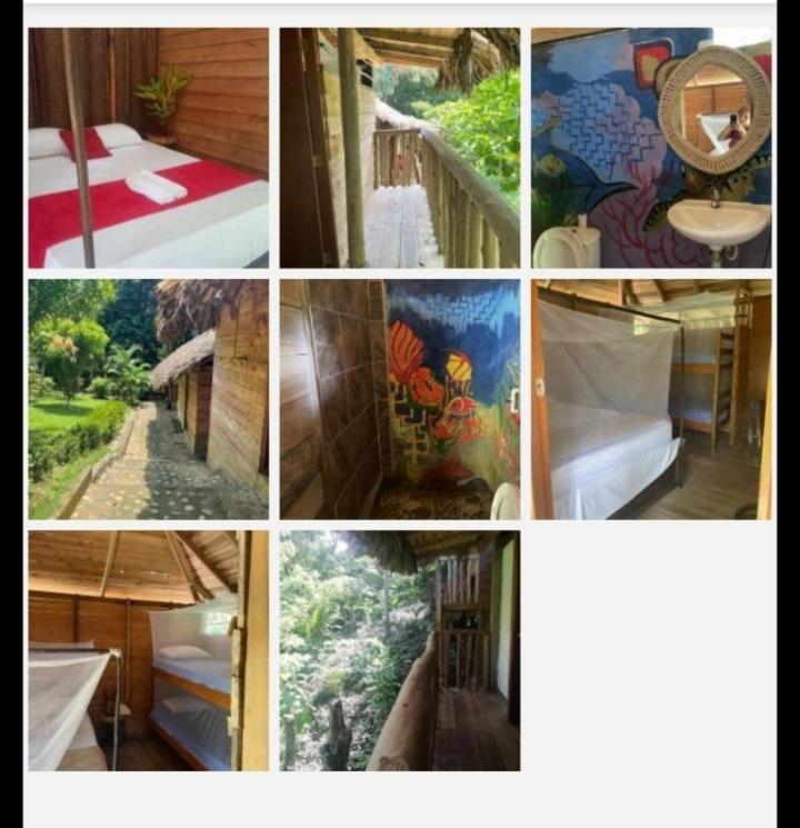 Eco Hostal Monolandia Zaino Habitación foto