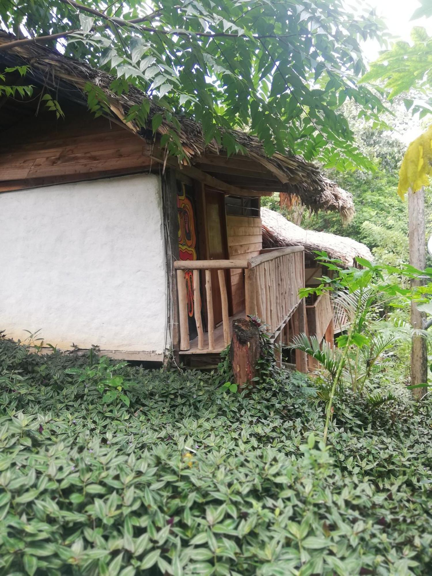 Eco Hostal Monolandia Zaino Habitación foto